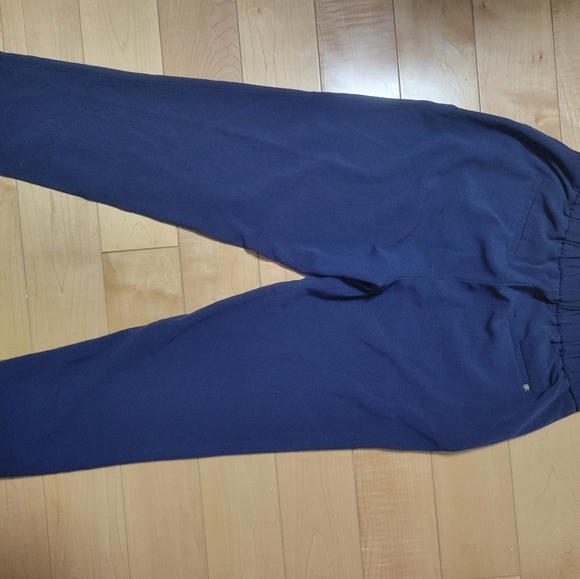 Banana Republic Navy Ankle Pants - Picture 4 of 5